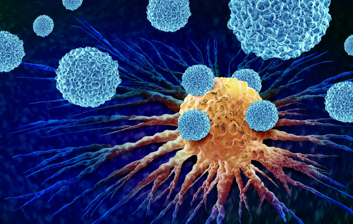 Une journée conférence doctorale sur : Understanding and assessing the immune system